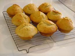 protein-muffins