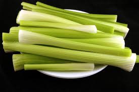 tuna-cheese-celery-sticks