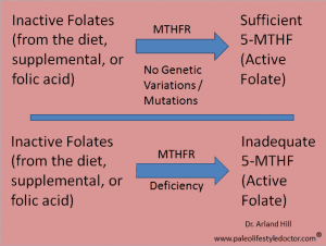 MTHFR Folate defeciency
