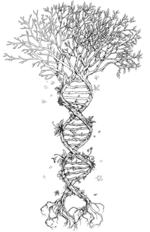 DNA Tree