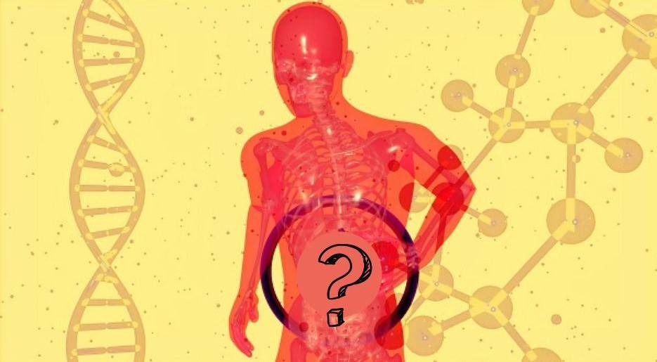 body with question mark on tummy to indicate a gut health test is needed 